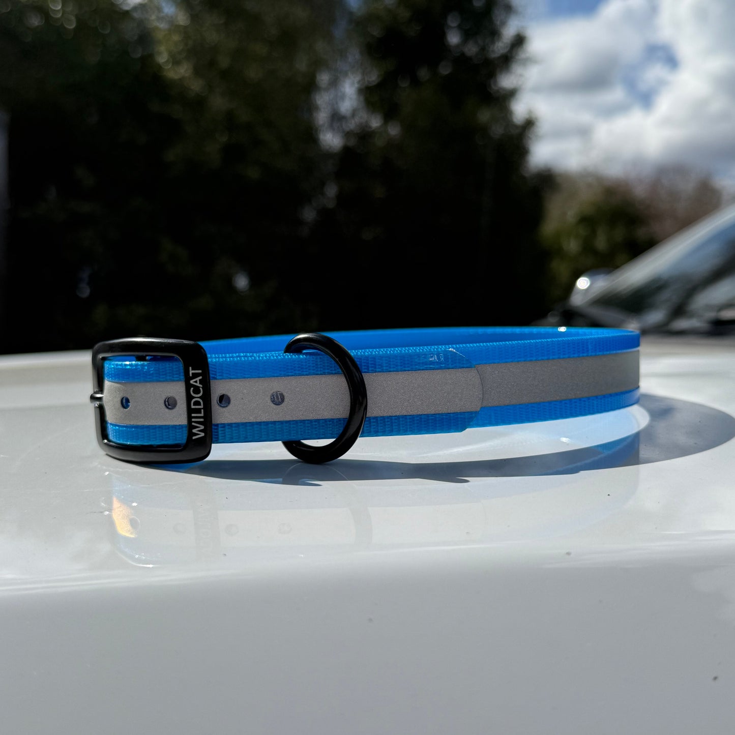 1" GARMIN Standard Reflective w/ D Ring Collar