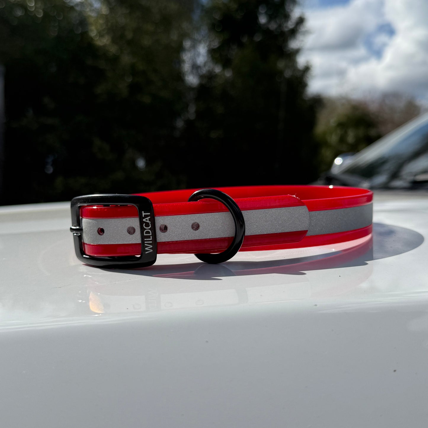 1" GARMIN Standard Reflective w/ D Ring Collar