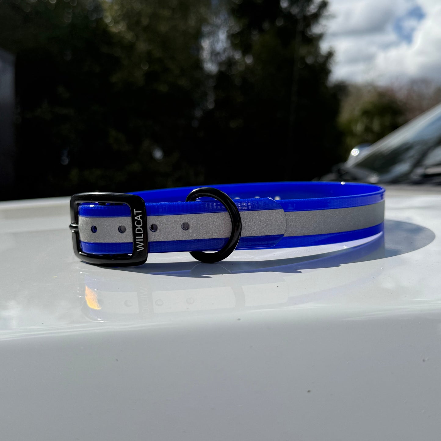 1" GARMIN Standard Reflective w/ D Ring Collar