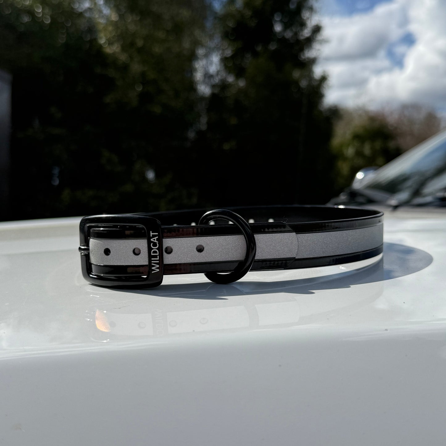 1" GARMIN Standard Reflective w/ D Ring Collar