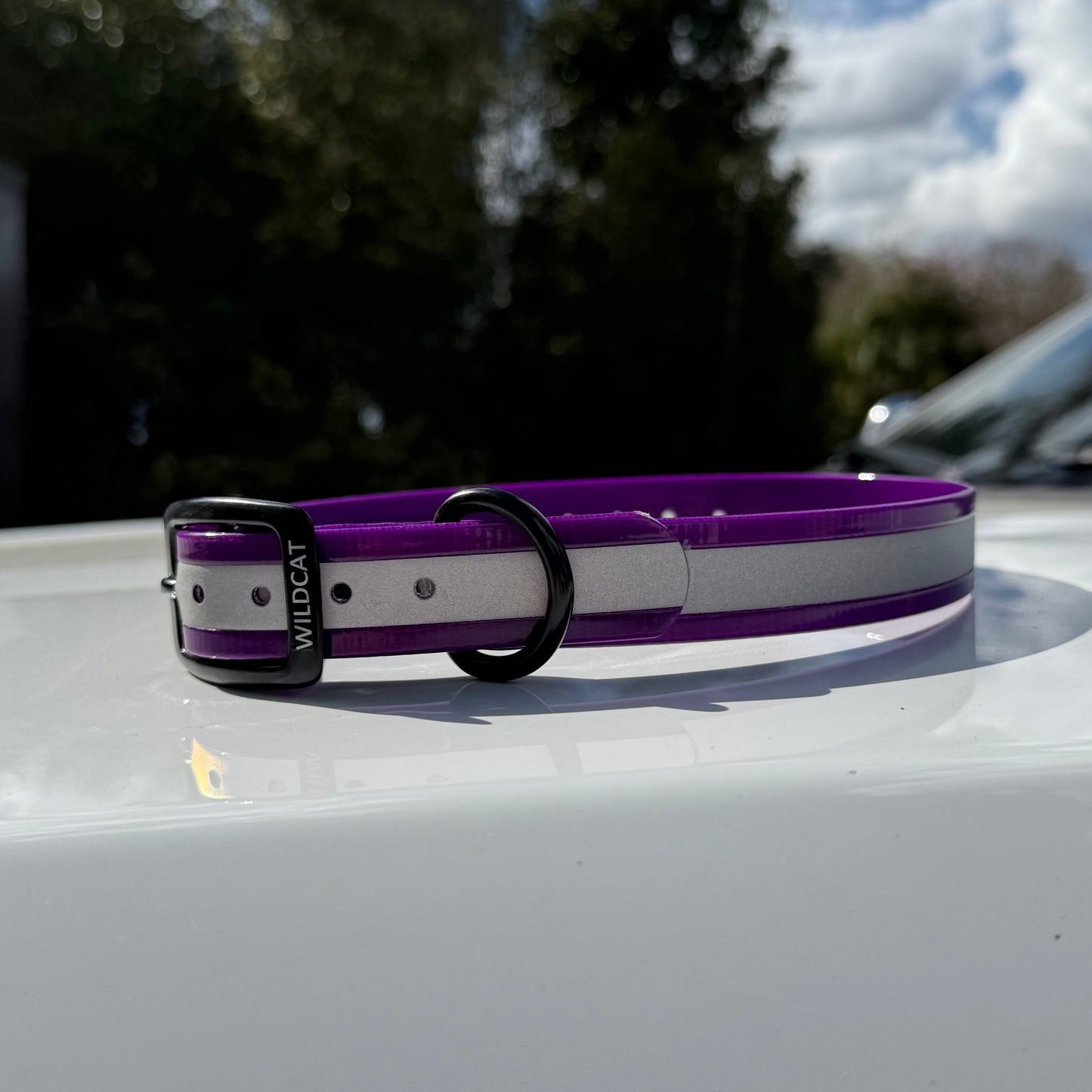 1" GARMIN Standard Reflective w/ D Ring Collar