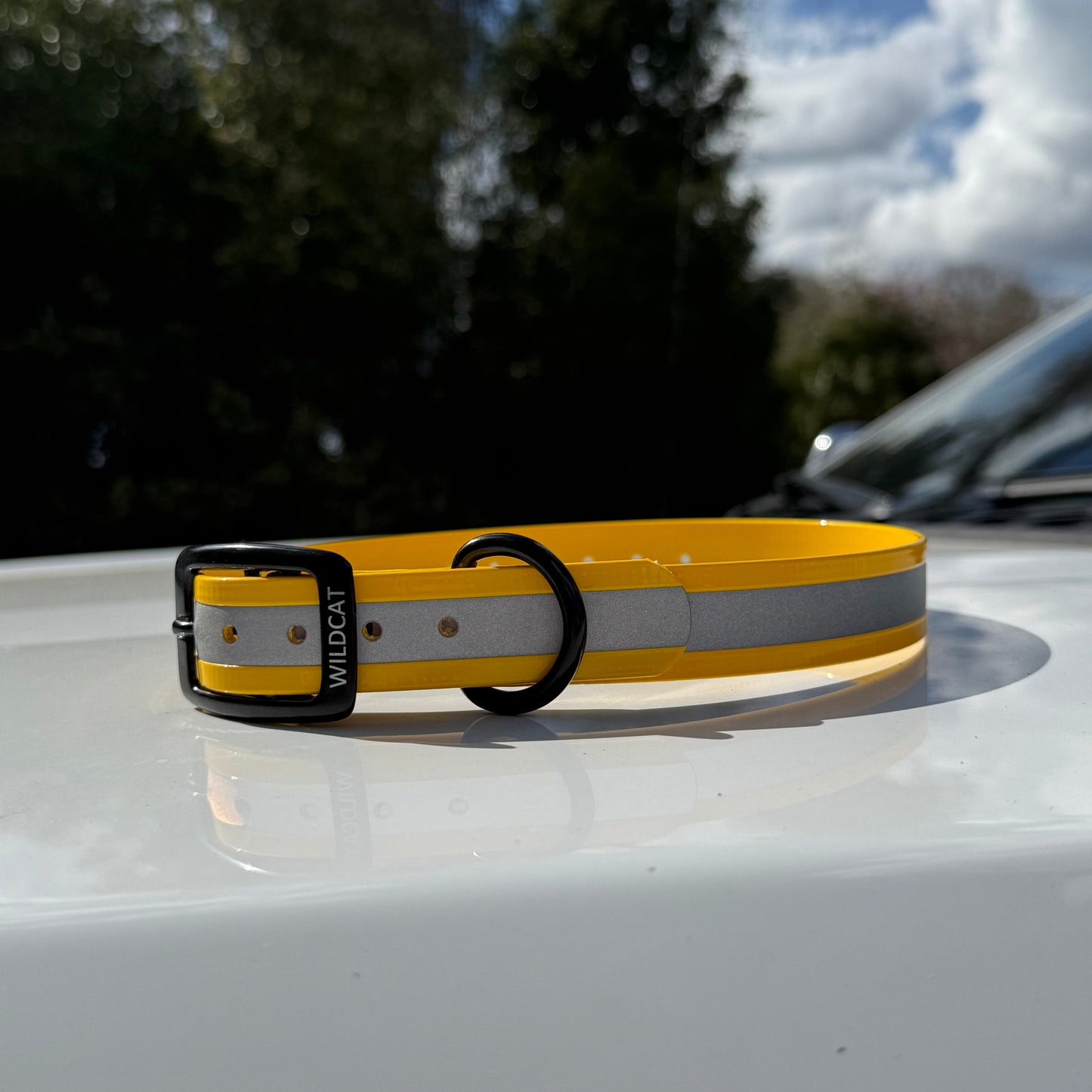 1" GARMIN Standard Reflective w/ D Ring Collar