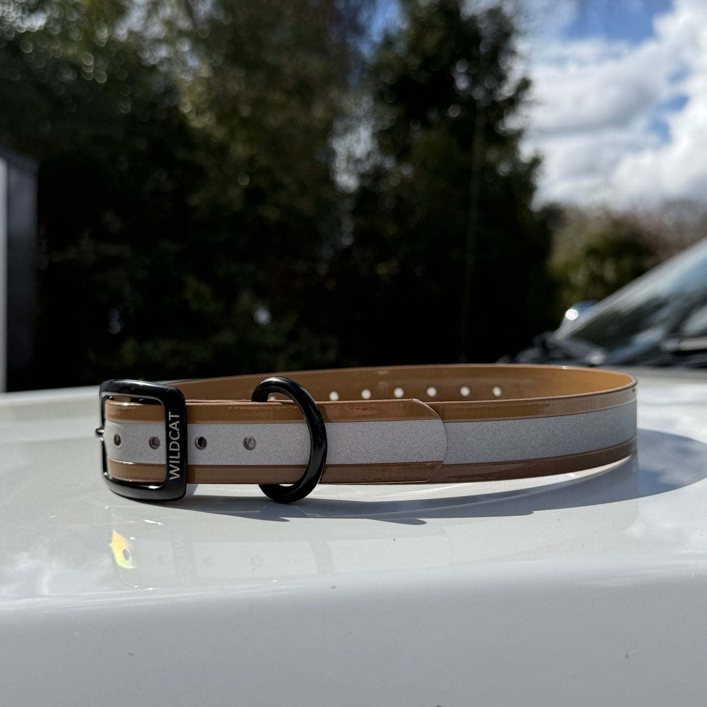 1" GARMIN Standard Reflective w/ D Ring Collar