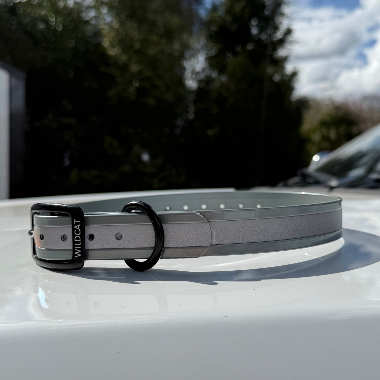 1" GARMIN Standard Reflective w/ D Ring Collar