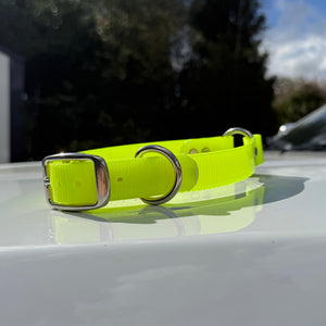 Neon Yellow