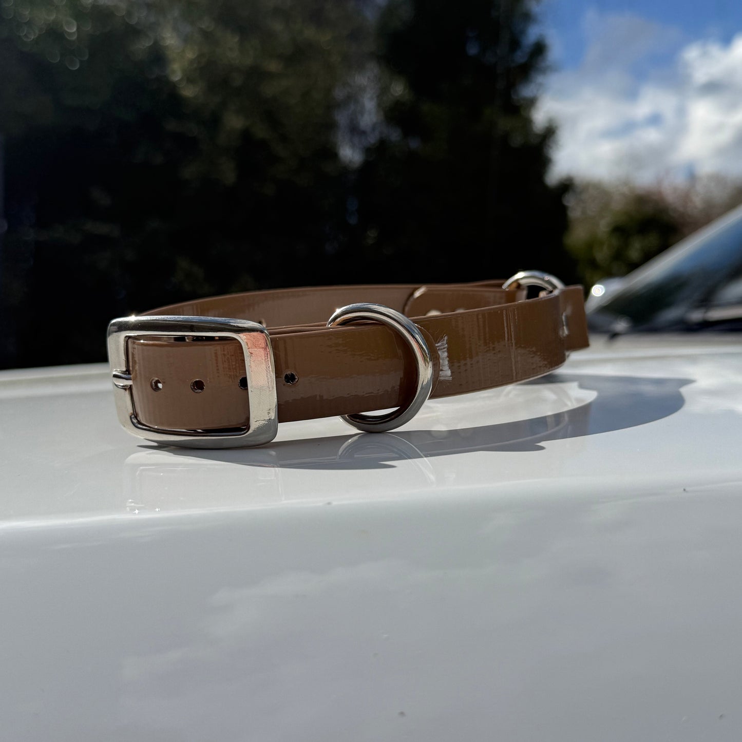 1" Reg Dayglow w/ D&O Ring Collar