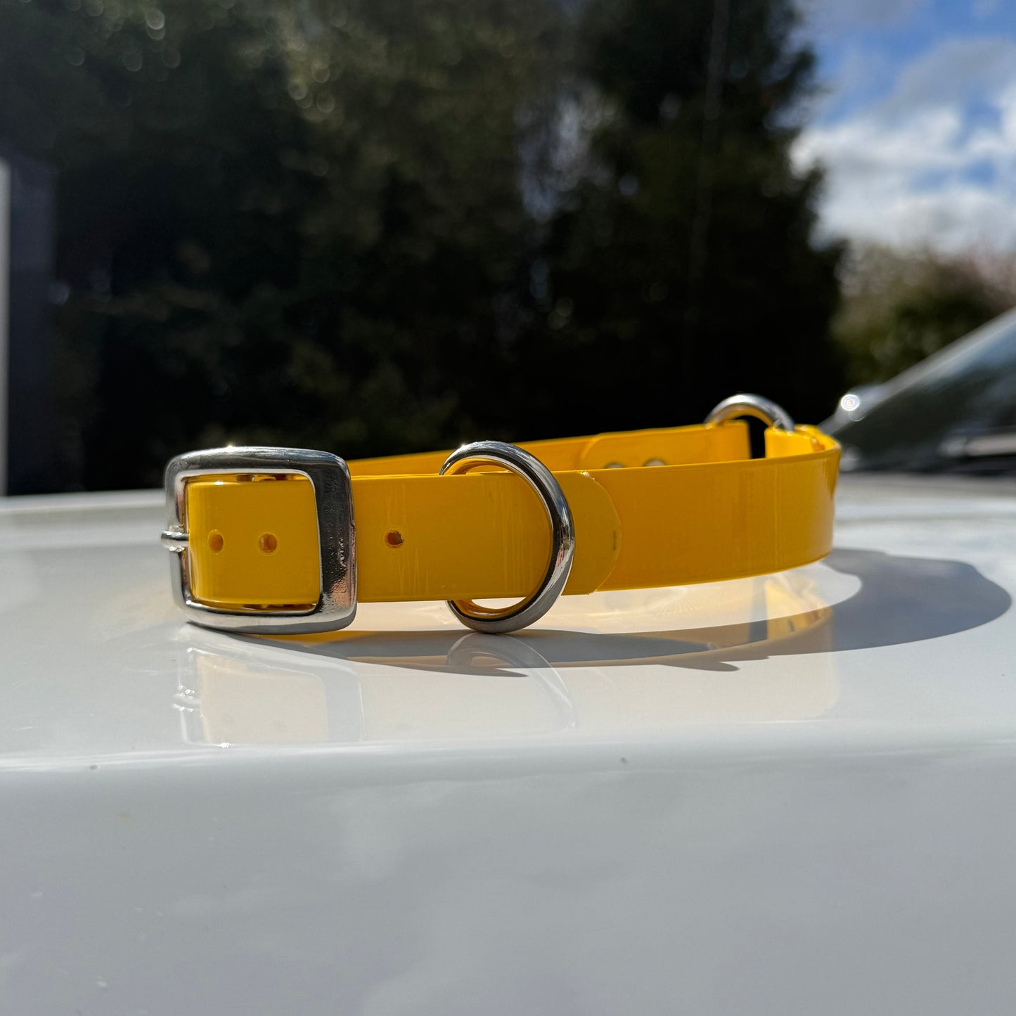 1" Reg Dayglow w/ D&O Ring Collar