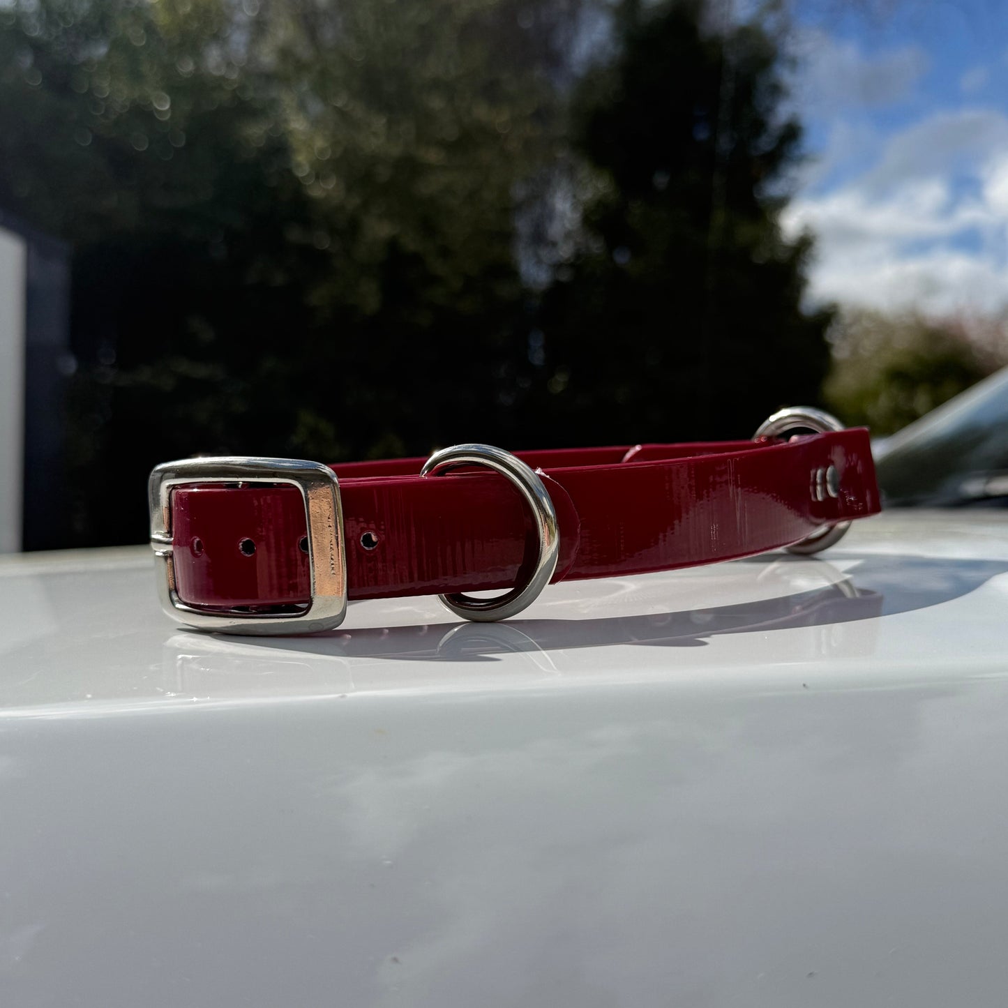 1" Reg Dayglow w/ D&O Ring Collar