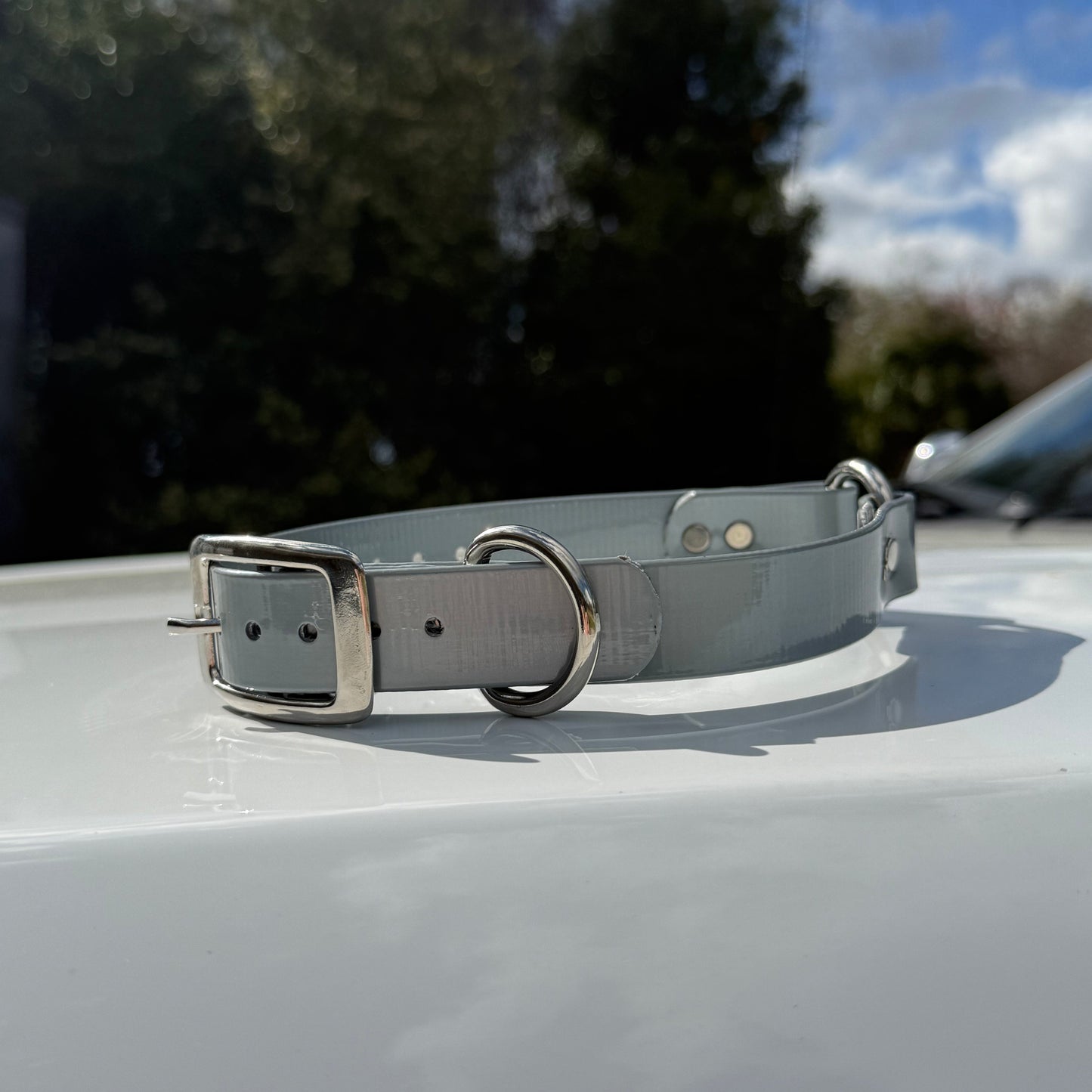 1" Reg Dayglow w/ D&O Ring Collar