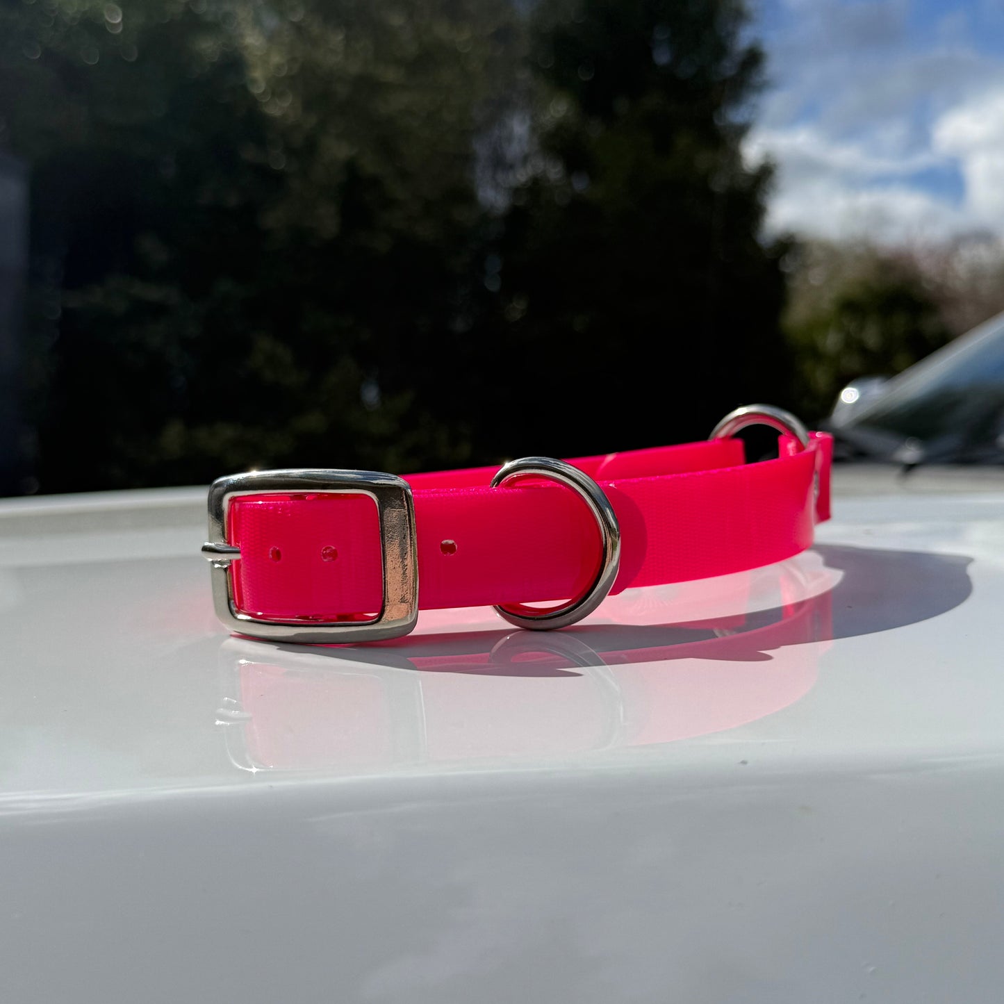 1" Reg Dayglow w/ D&O Ring Collar