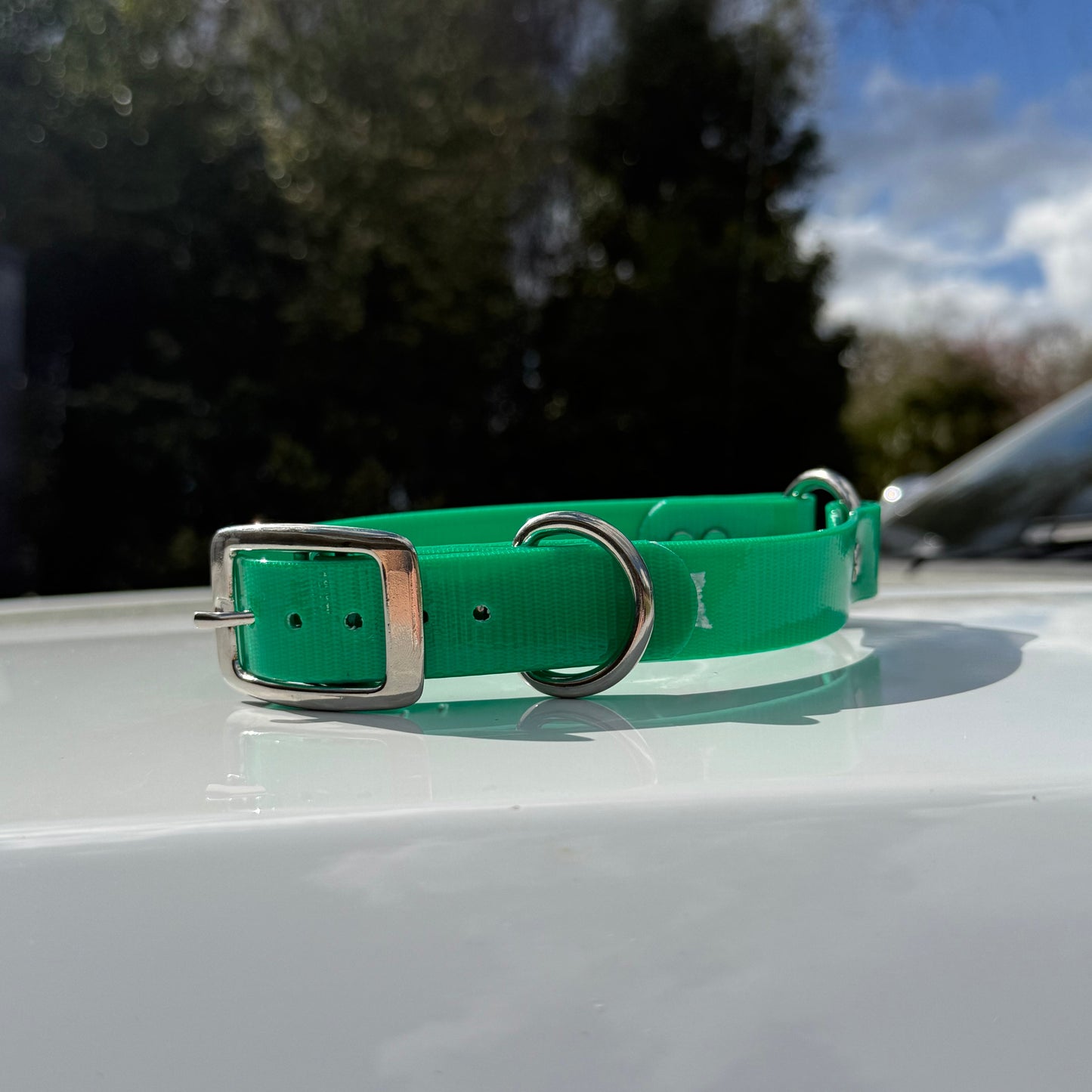 1" Reg Dayglow w/ D&O Ring Collar