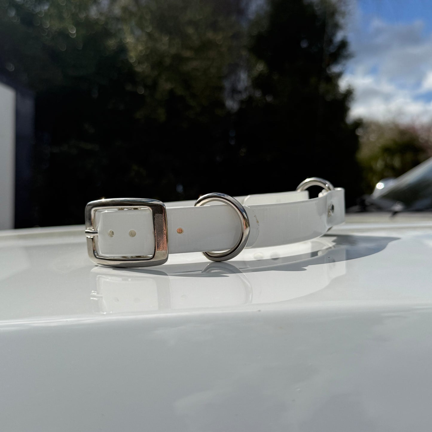 1" Reg Dayglow w/ D&O Ring Collar