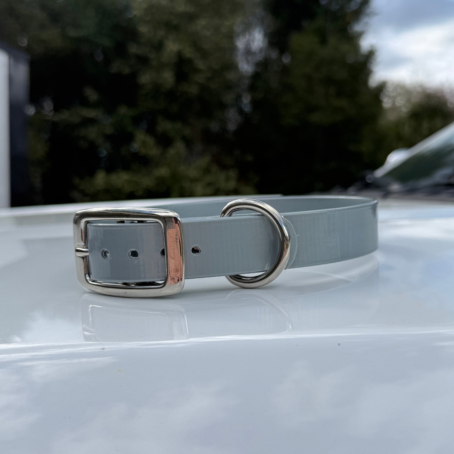 1" Reg Dayglow w/ D Ring Collar