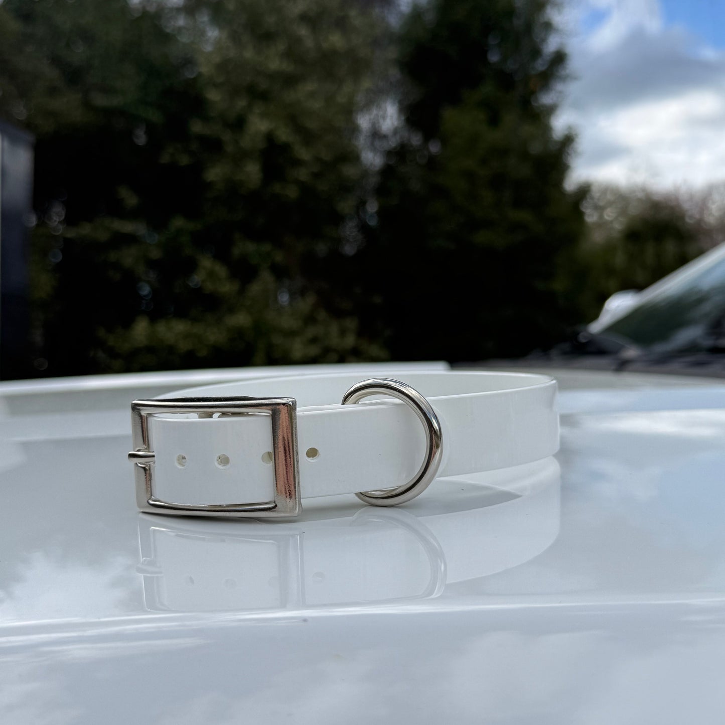 1" Reg Dayglow w/ D Ring Collar