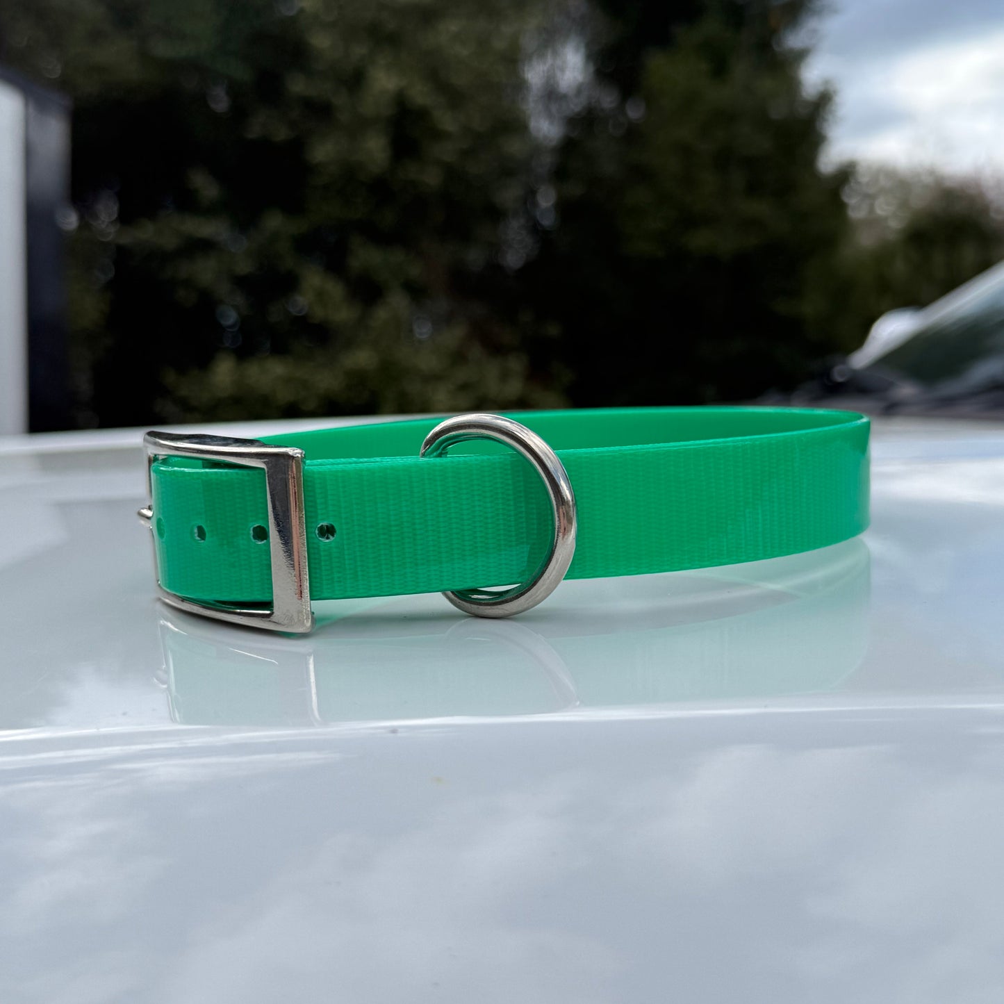 1" Reg Dayglow w/ D Ring Collar