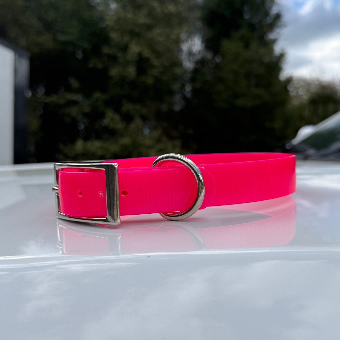 1" Reg Dayglow w/ D Ring Collar