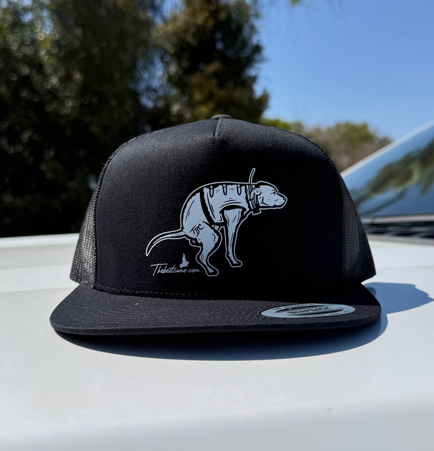Shane Ray Hat