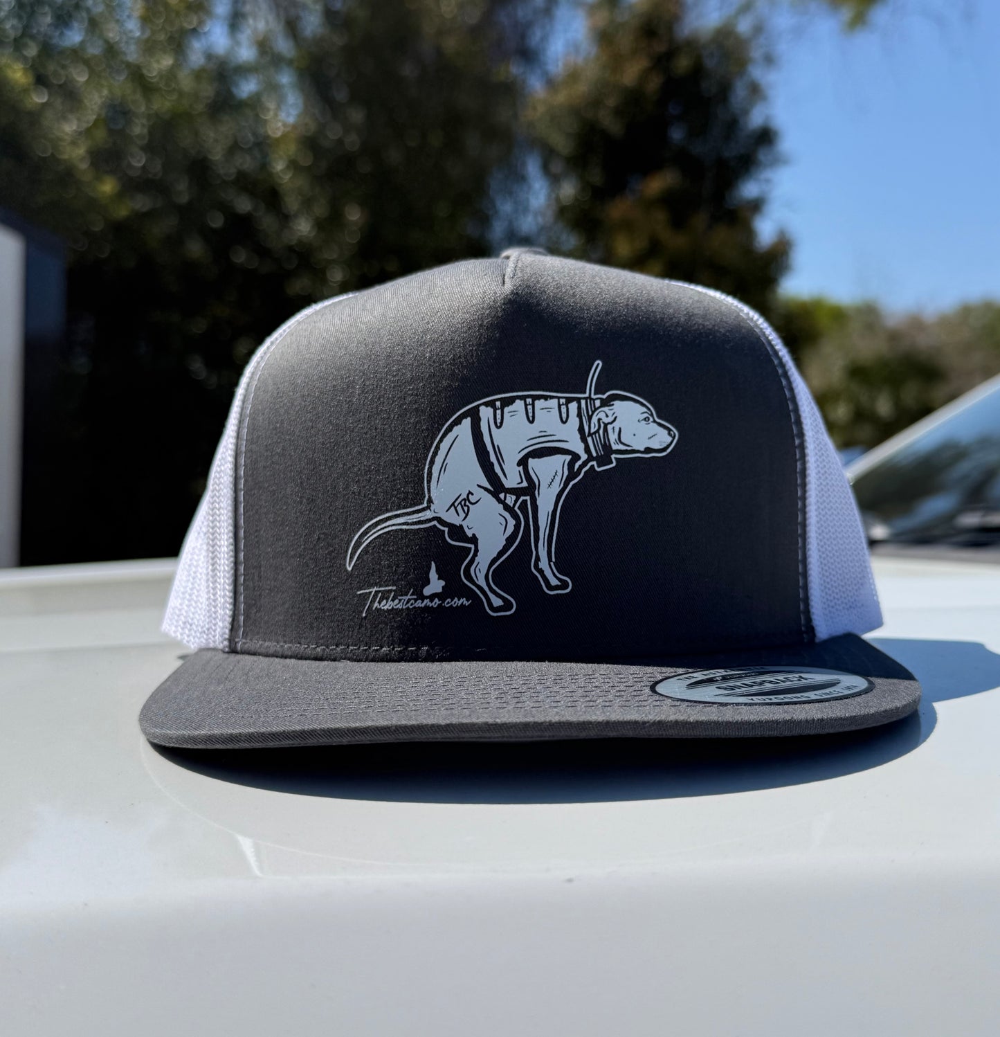 Shane Ray Hat