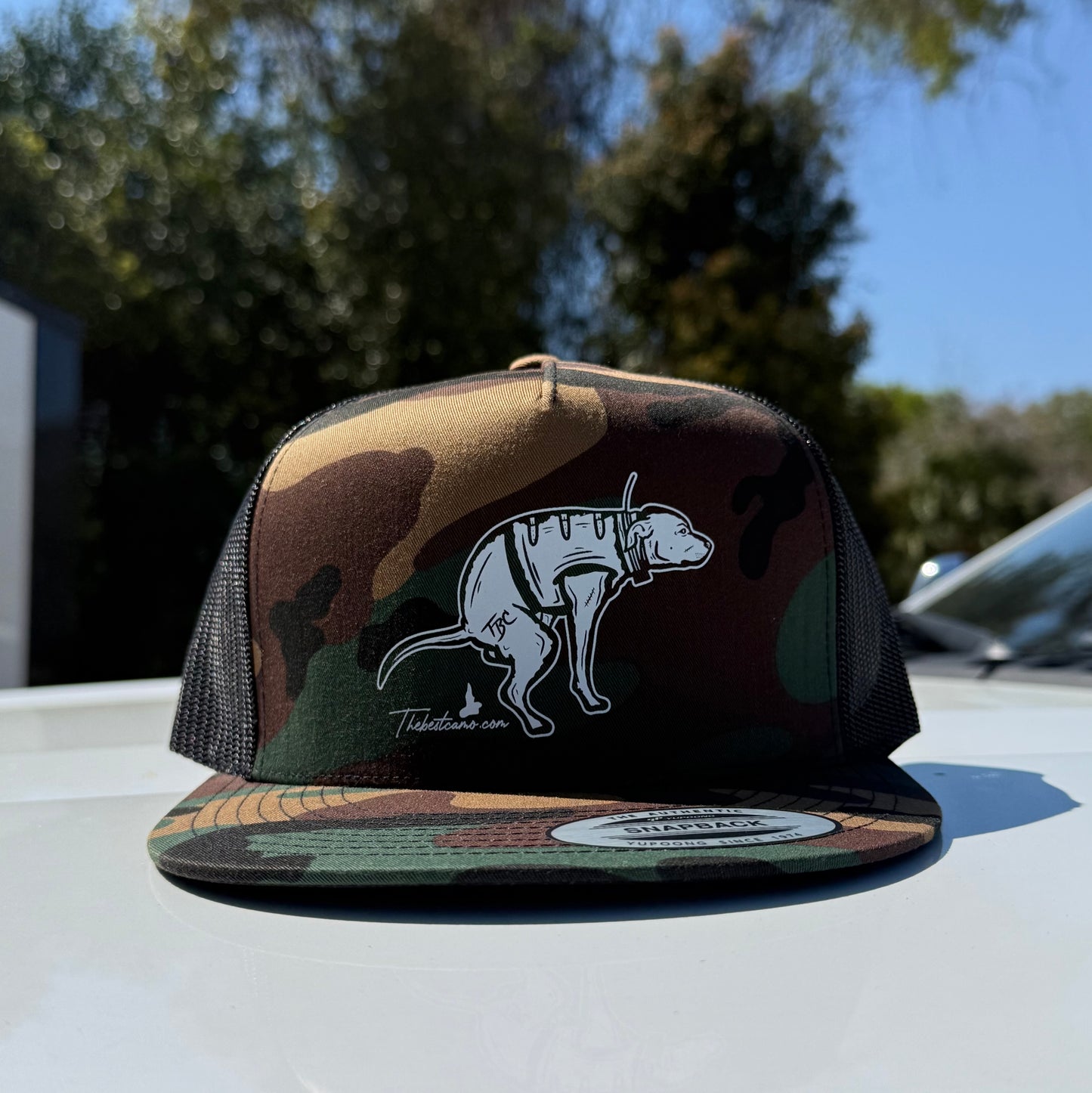 Shane Ray Hat