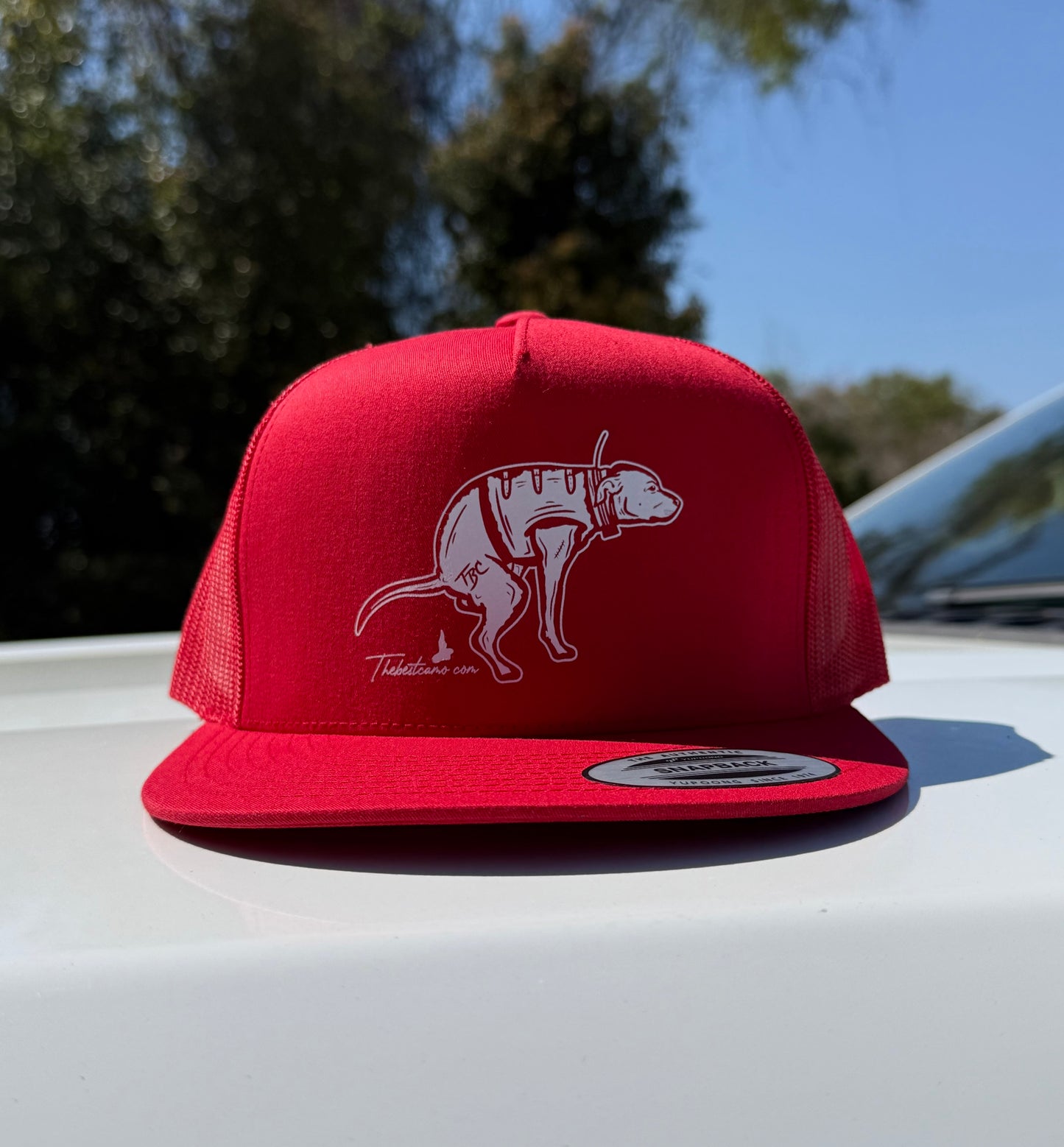 Shane Ray Hat