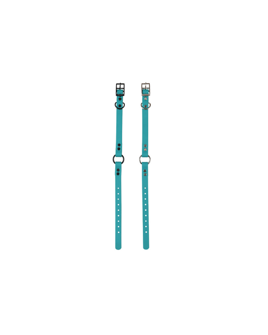 1" Reg Dayglow w/ D&O Ring Collar
